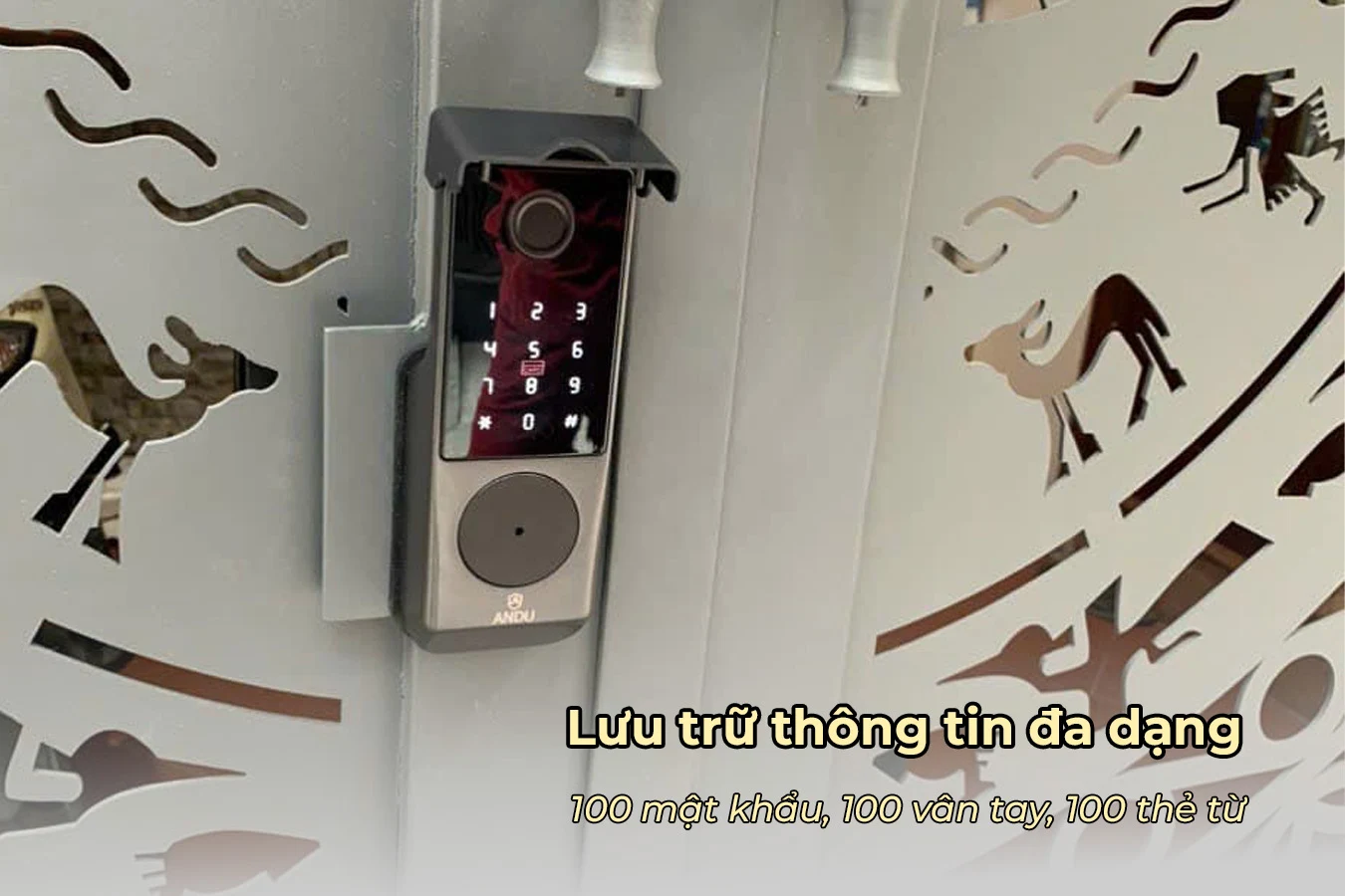 khoa-cua-van-tay-andu-a296-luu-tru