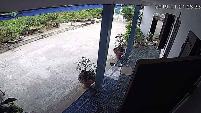 Hình ảnh theo dõi ban ngày