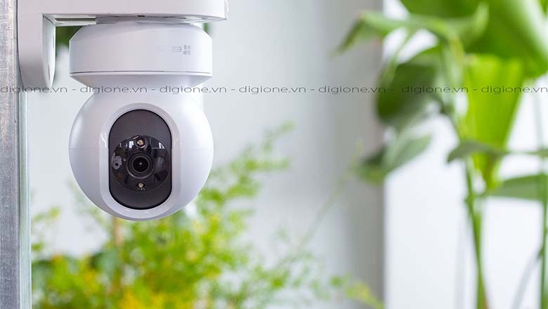 Một số hình ảnh khác cho bạn tham khảo