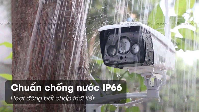 Thích ứng tốt với môi trường bên ngoài