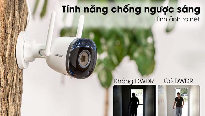 Cấu tạo chắc chắn, hình ảnh sống động