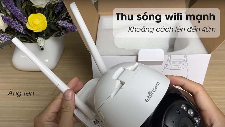 Hỗ trợ 2 ăng ten thu sóng mạnh mẽ