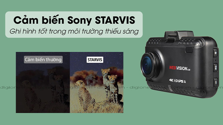 webvision-a28-tinh-te