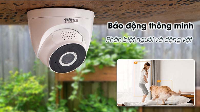 Hỗ trợ phát hiện chuyển động, báo động thông minh