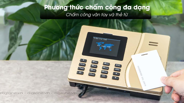 ronald-jack-k39-tinh-te