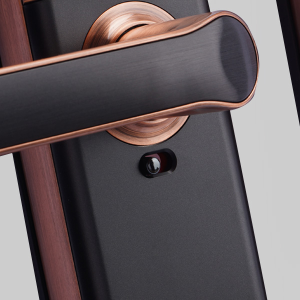 Khóa Cửa Điện Tử Philips 7300-5