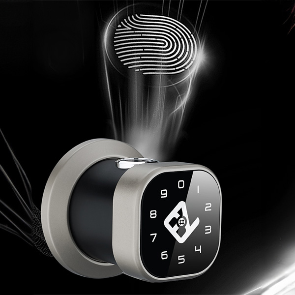 Khóa Cửa Thông Minh Bozo BM1002