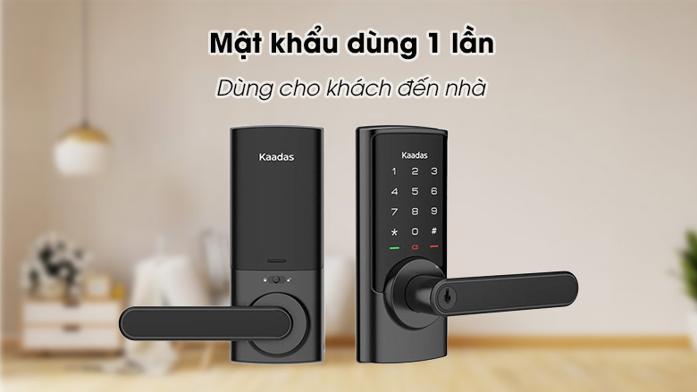 khoa-cua-thong-minh-kaadas-rx-d-tinh-te