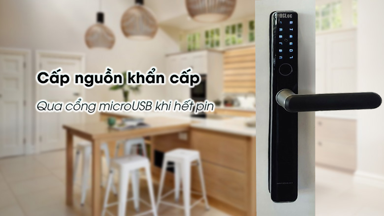 khoa-cua-thong-minh-phglock-fp5501-tinh-te