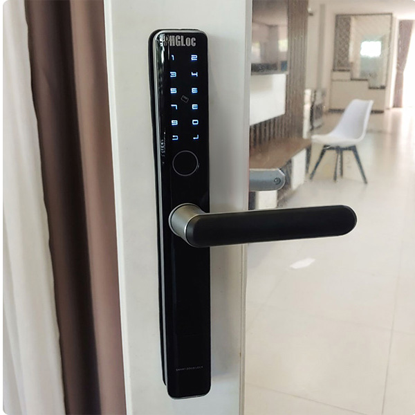 Khóa Cửa Thông Minh PHGLock FP5501