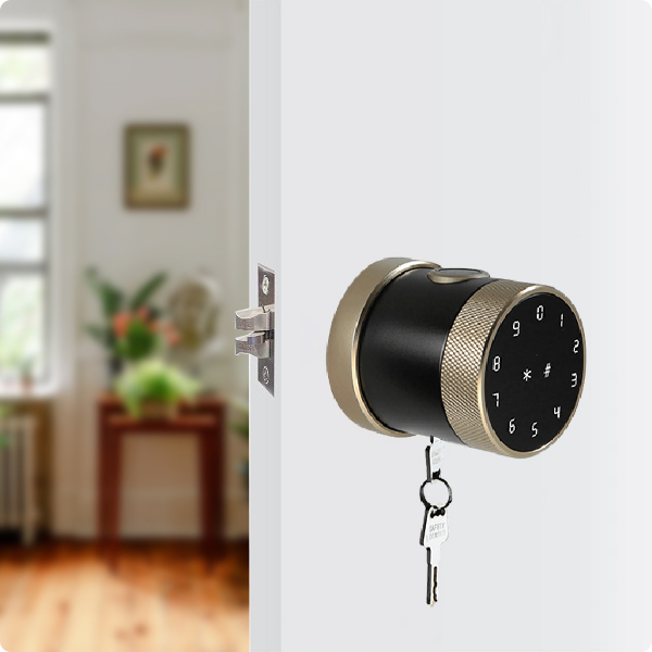 Khóa Cửa Điện Tử PHGLock FP8193