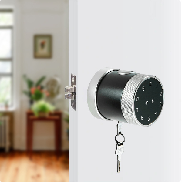 Khóa Cửa Điện Tử PHGLock FP8193