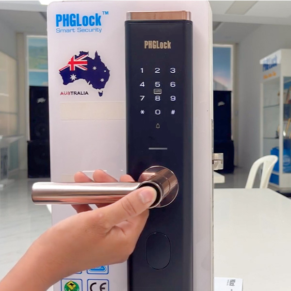 Khóa Cửa Thông Minh PHGLock FP6601