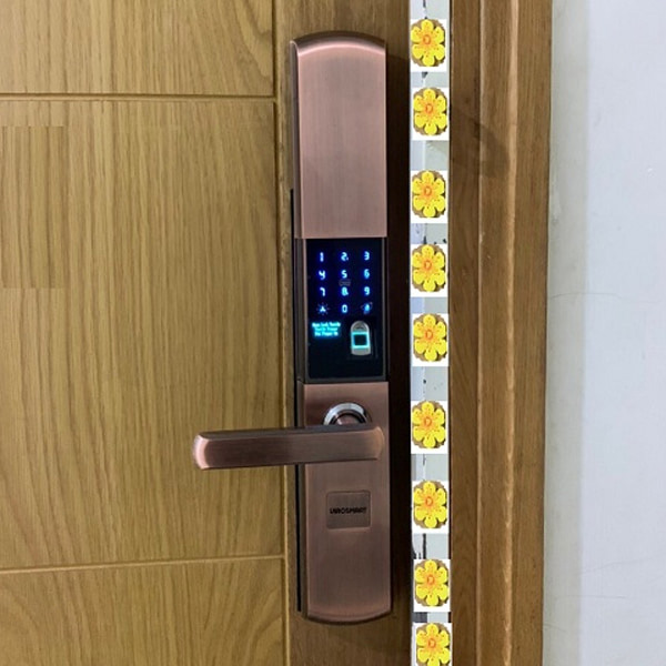 Khoá Cửa Thông Minh VIRO VR-H05