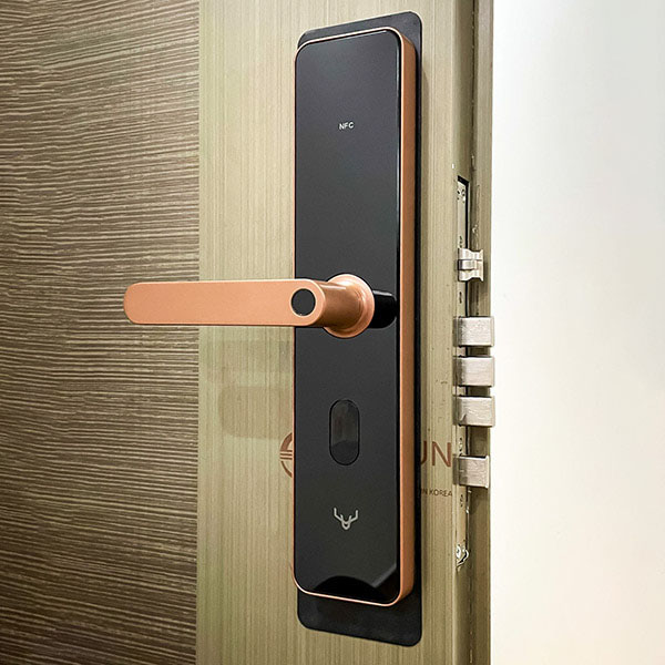 Khoá Cửa Thông Minh Xiaomi Lockin X1