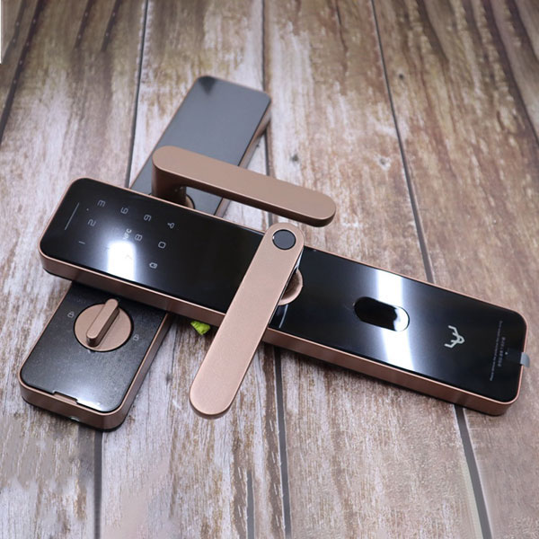 Khoá Cửa Thông Minh Xiaomi Lockin X1