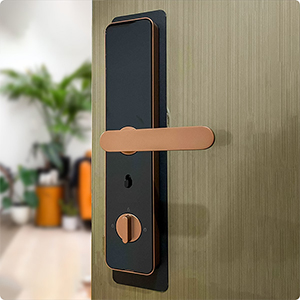 xiaomi-lockin-x1
