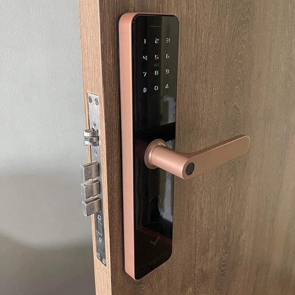 Khoá Cửa Thông Minh Xiaomi Lockin X1
