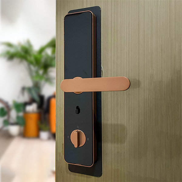 Khoá Cửa Thông Minh Xiaomi Lockin X1