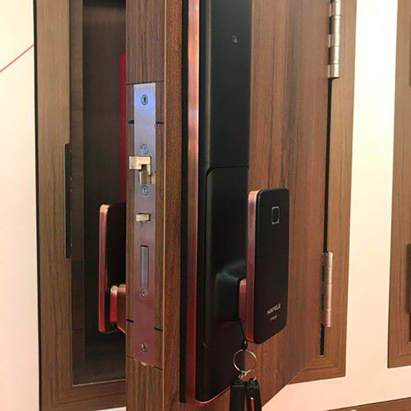 Khoá Cửa Điện Tử Hafele PP8100