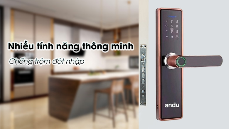 khoa-cua-dien-tu-andu-a6-tinh-te