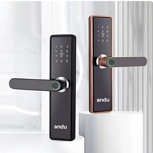 khoa-cua-dien-tu-andu-a6