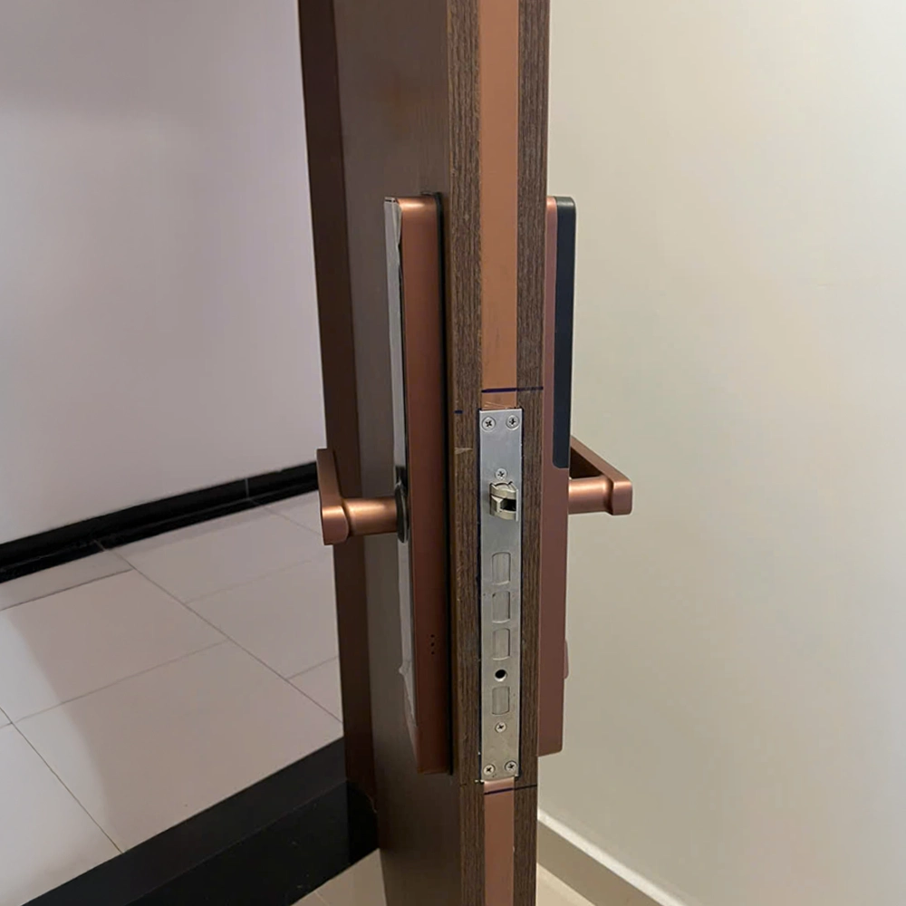 Khóa Cửa Điện Tử Andu A19 APP - Dùng Cho Cửa Gỗ