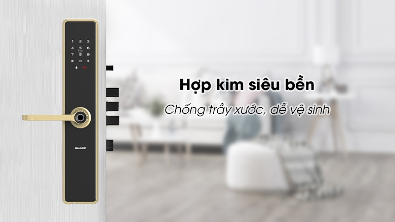 khoa-cua-dien-tu-a1-b-tinh-te