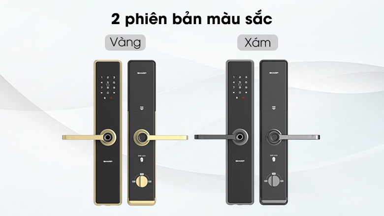 khoa-cua-dien-tu-a1-b-hien-dai