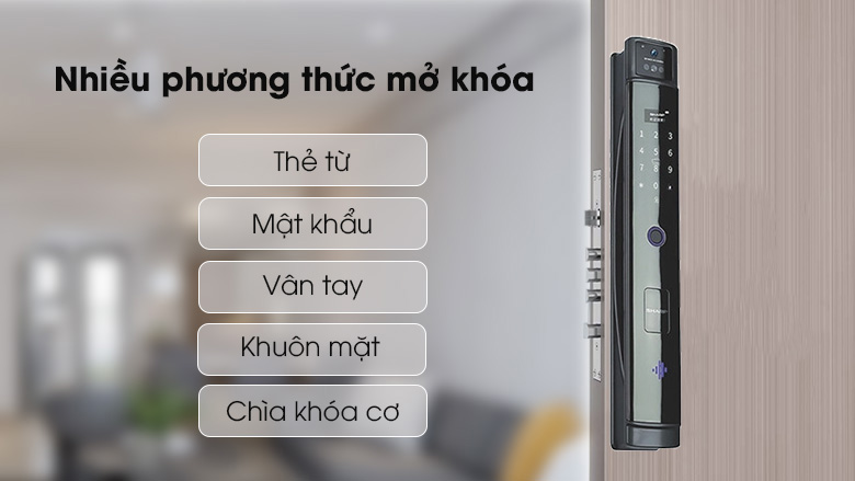 khoa-cua-dien-tu-sharp-s2-fv-tinh-te