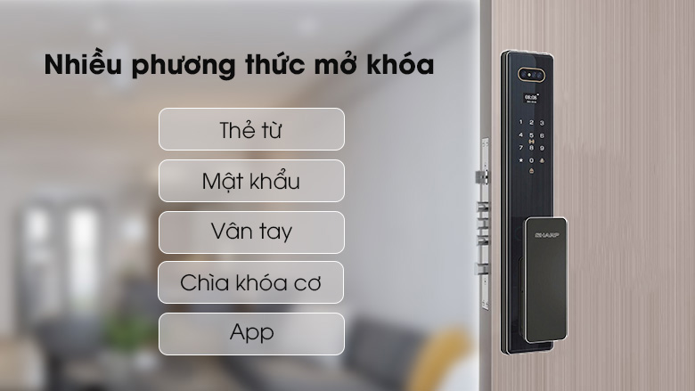 khoa-cua-dien-tu-sharp-s6-b-pro-tinh-te