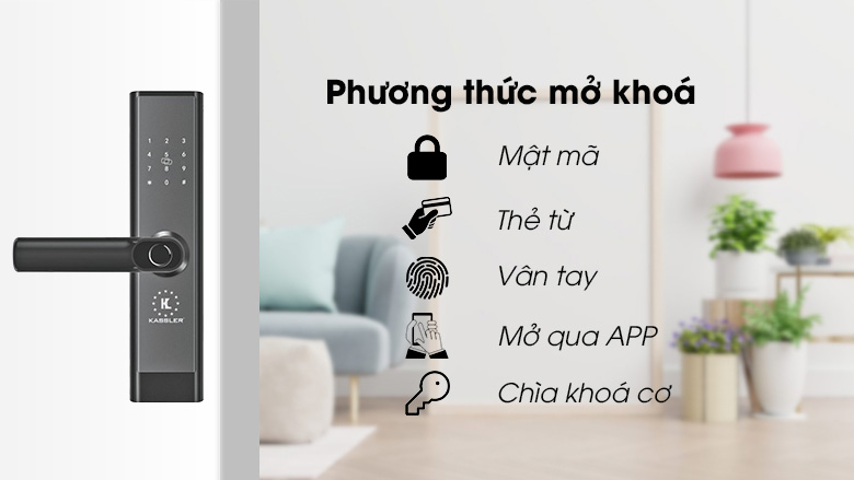 khoa-cua-dien-tu-kassler-kl-656-tinh-te