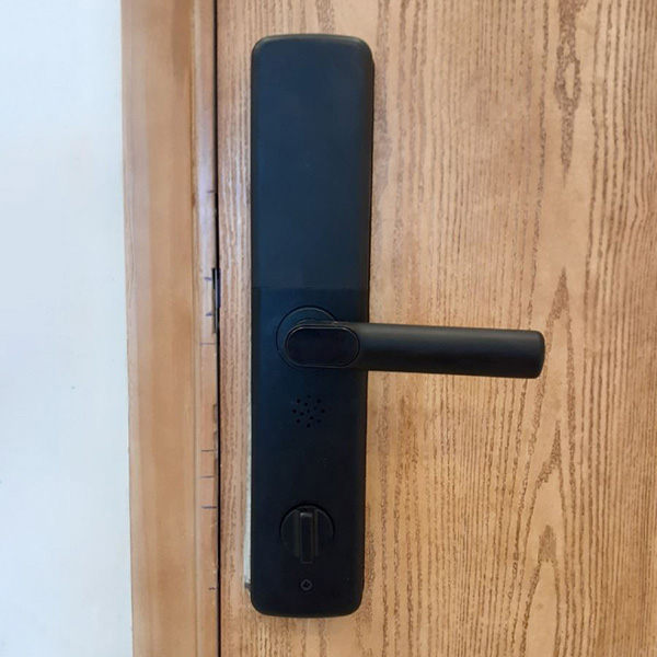 Khoá Cửa Điện Tử Kassler KL-600 PG