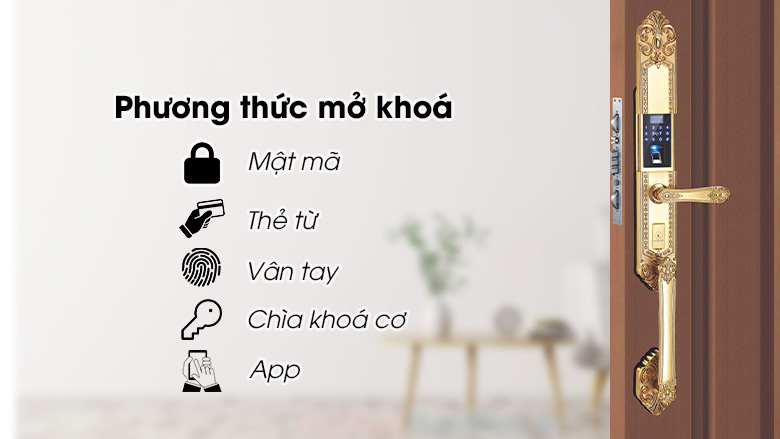 khoa-cua-dien-tu-kassler-kl-929-tinh-te
