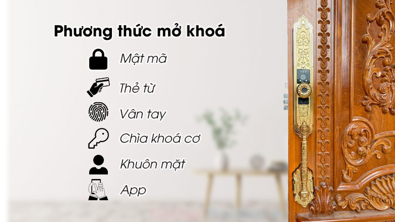 khoa-cua-dien-tu-kassler-kl-939-f-tinh-te