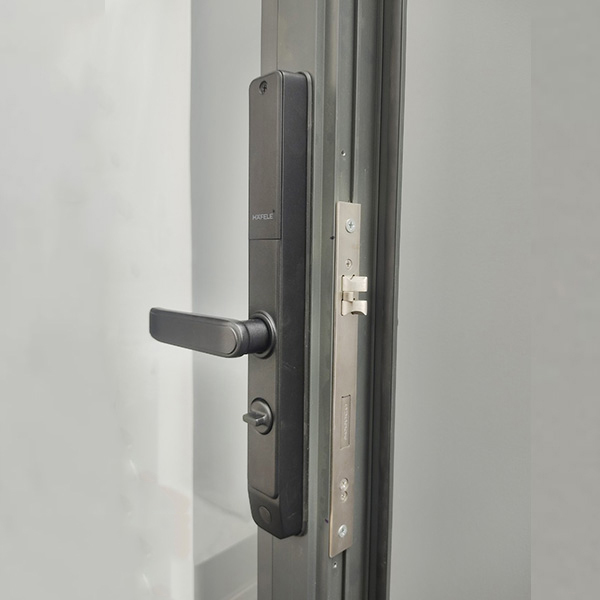 Khoá Cửa Điện Tử Hafele DL6600