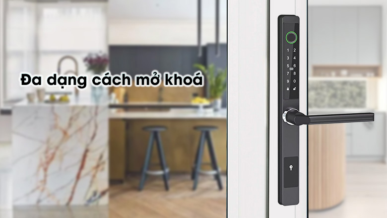 khoa-cua-dien-tu-andu-a100-tinh-te