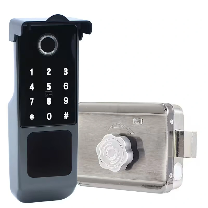 divi-t20