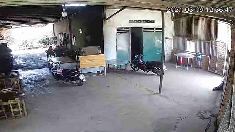 Hình ảnh ghi nhận thực tế ban ngày