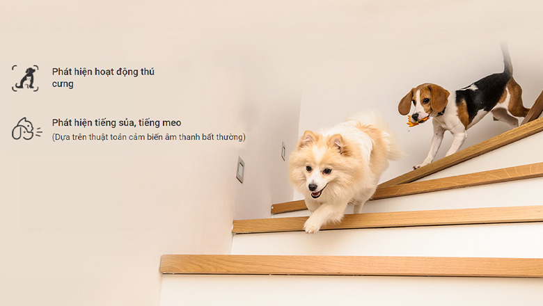 ezviz-e6-3k-digione-sang-trong