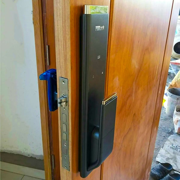 Khóa Cửa Điện Tử PHGLock FP6701