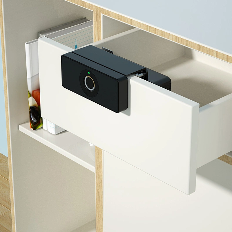 Khoá Cửa Tủ, Ngăn Kéo Vân Tay ZW176