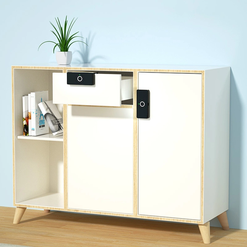 Khoá Cửa Tủ, Ngăn Kéo Vân Tay ZW176