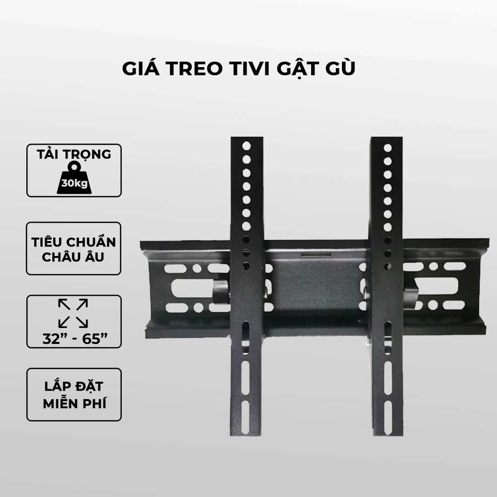 gia-treo-tivi-gat-gu-nghieng-43-65-1