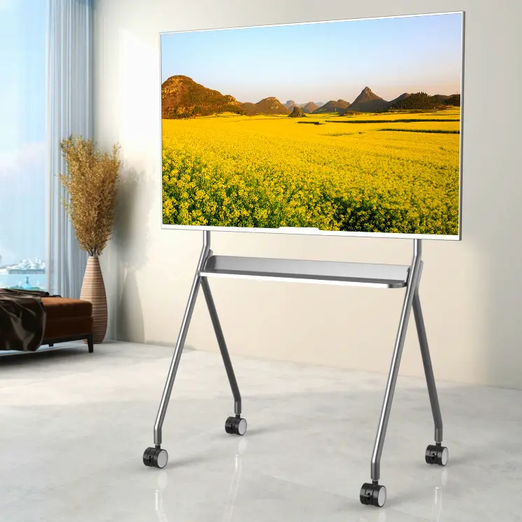 gia-treo-tivi-di-dong-tr43