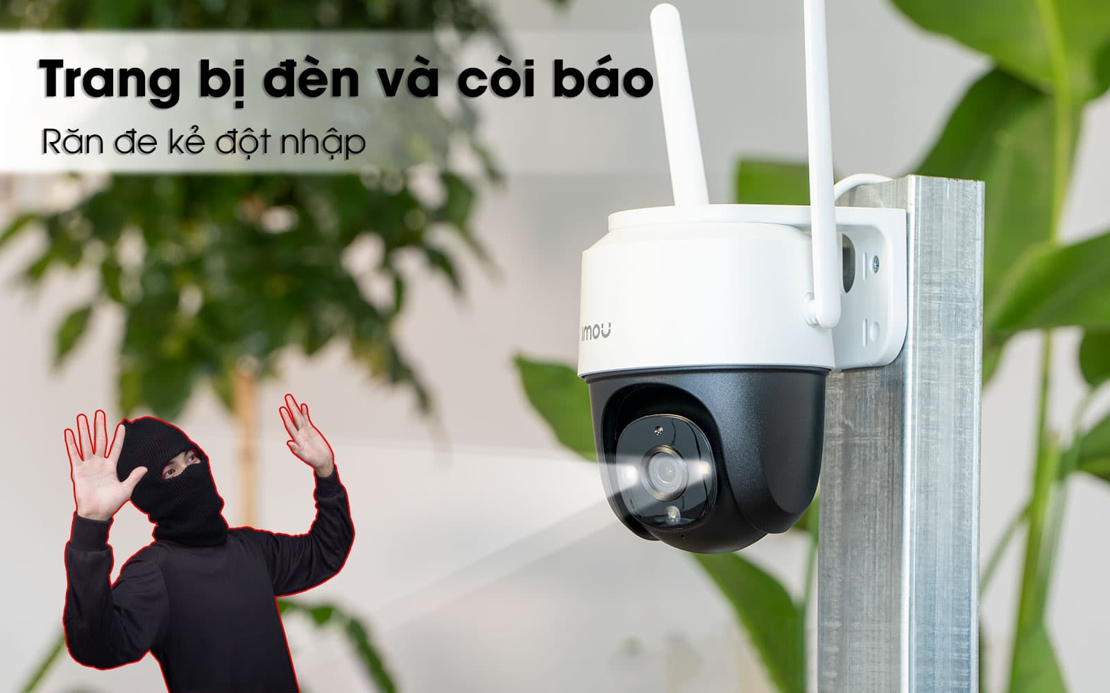 cruiser-s22fp cảnh báo