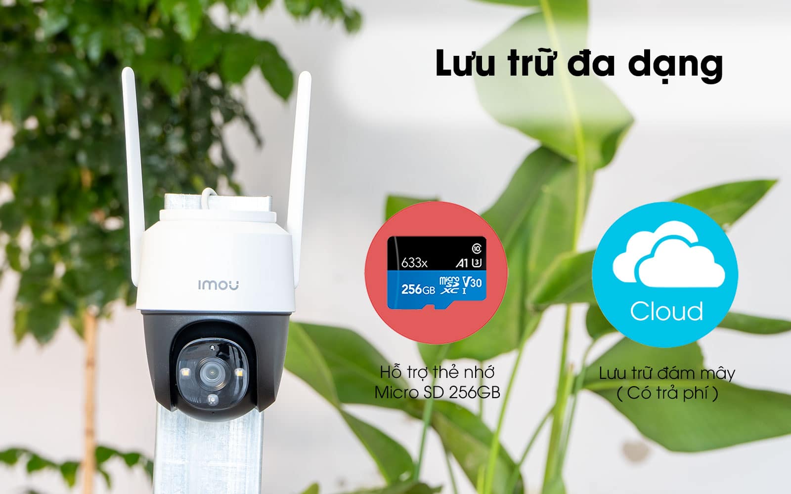 cruiser-s22fp lưu trữ