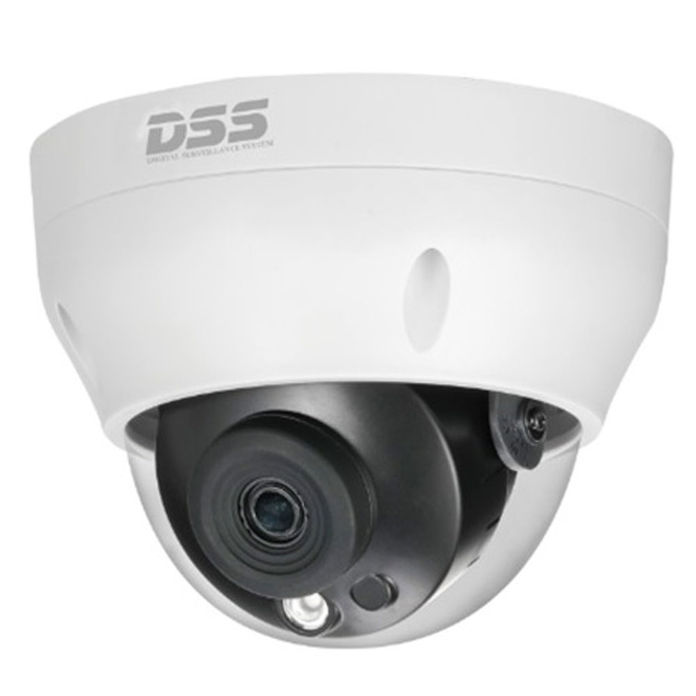 Camera IP Dahua DS2230RDIP-S3 1080P